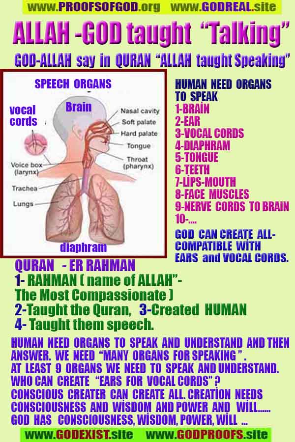 god is real, god exists here proofs, god's proofs, proofs of god, evidences of god, proofs-god, evidences-god, signs-god 