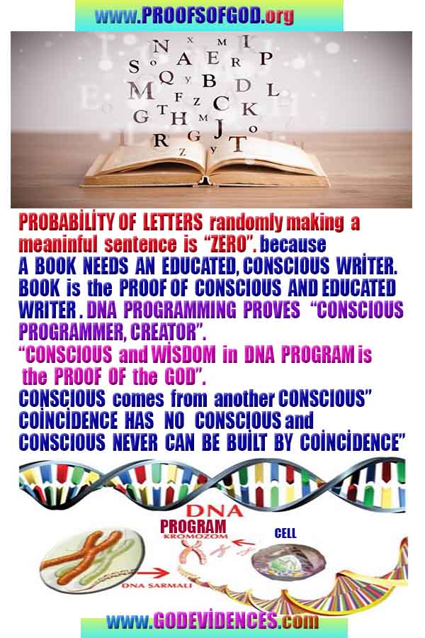 god is real, god exists here proofs, god's proofs, proofs of god, evidences of god, proofs-god, evidences-god 