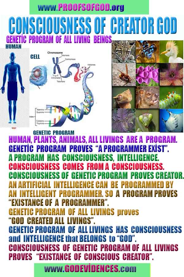 god is real, god exists here proofs, god's proofs, proofs of god, evidences of god, proofs-god, evidences-god, signs-god  