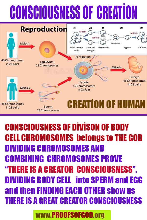 god is real, god exists here proofs, god's proofs, proofs of god, evidences of god, proofs-god, evidences-god, signs-god