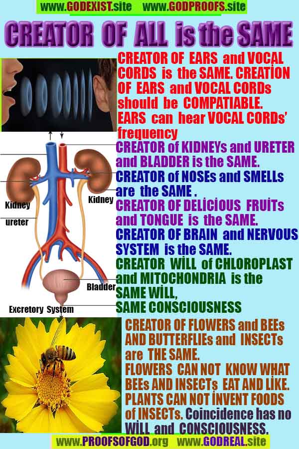 god is real, god exists here proofs, god's proofs, proofs of god, evidences of god, proofs-god, evidences-god, signs-god 