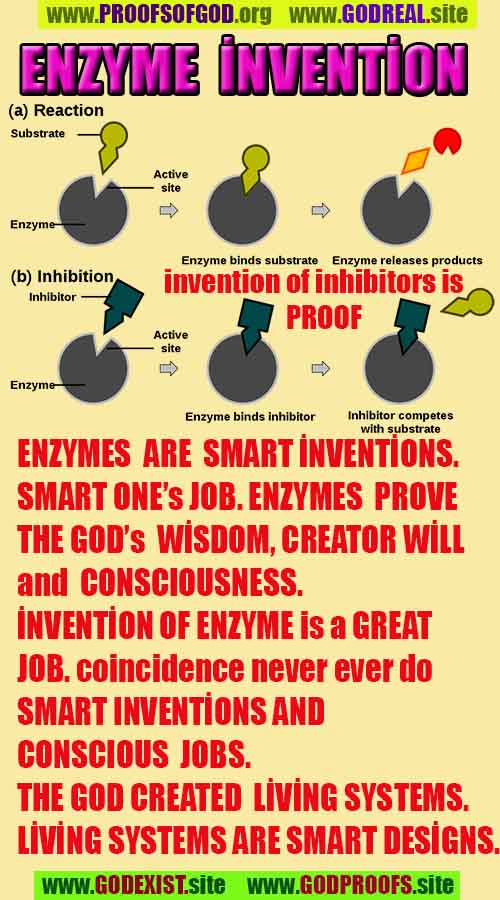god is real, god exists here proofs, god's proofs, proofs of god, evidences of god, proofs-god, evidences-god, signs-god 