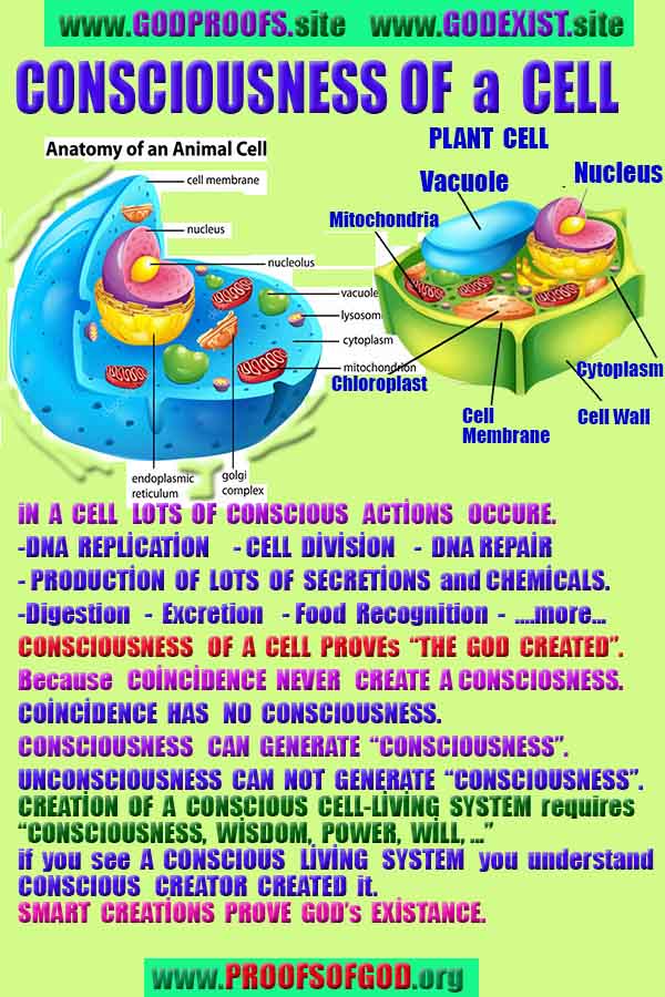 god is real, god exists here proofs, god's proofs, proofs of god, evidences of god, evidences-god, signs-god 