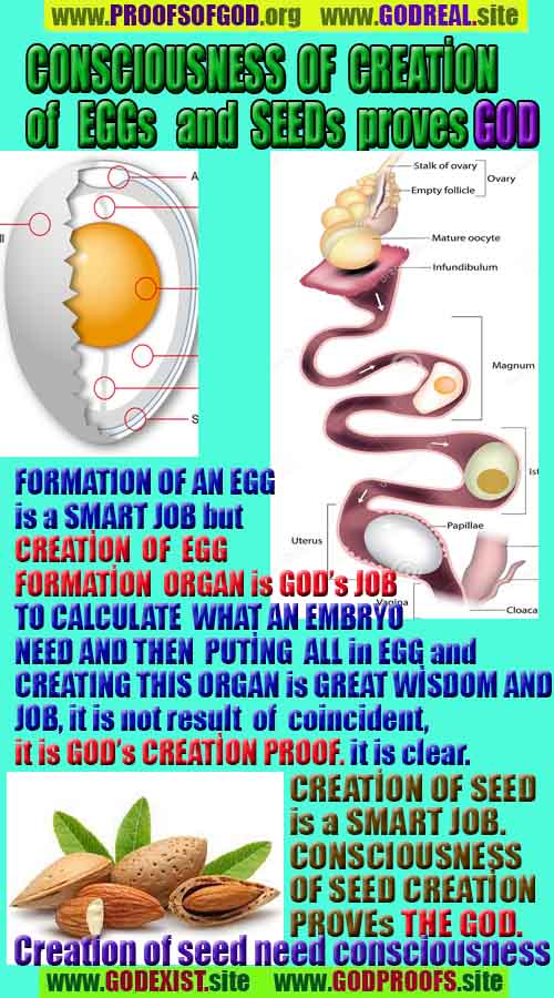  god is real, god exists here proofs, god's proofs, proofs of god, evidences of god, proofs-god, evidences-god, signs-god