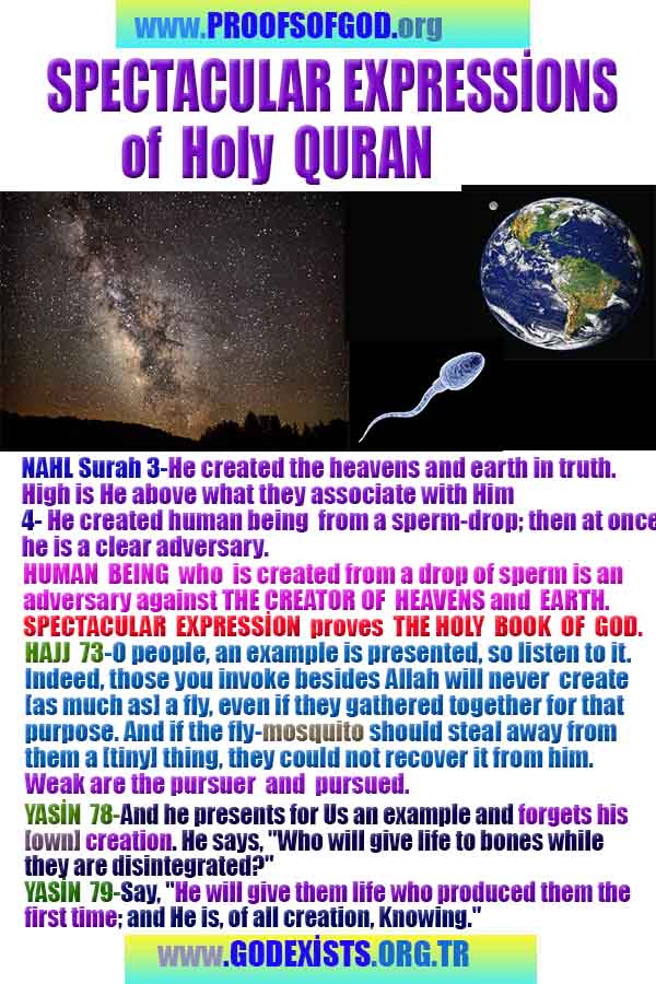 god is real, god exists here proofs, god's proofs, proofs of god, evidences of god, proofs-god, evidences-god, signs-god 